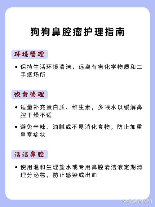 狗狗鼻腔瘤護(hù)理指南 環(huán)境、飲食與鼻腔清潔全解析